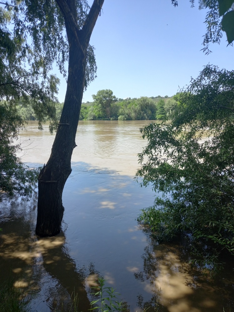 В Тбилисском районе начались рейды по водным объектам