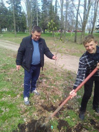 Акция «Посади дерево»