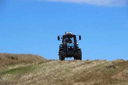 В Тбилисском районе артисты выступают на полях