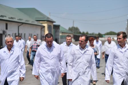 В Тбилисском районе сохранили ферму