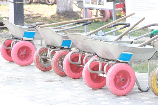 Большой субботник состоялся в тбилисском парке