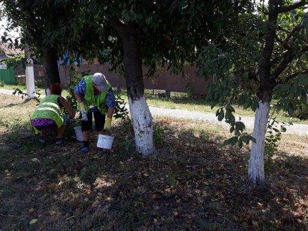 Сотрудники МАУ «Радуга» наводят порядок