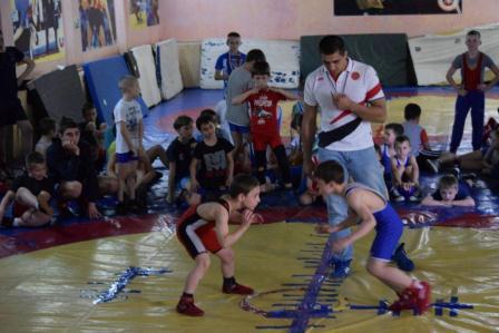 Открытое первенство по вольной борьбе прошло в Тбилисском районе