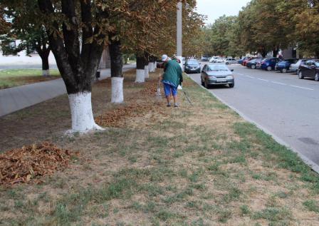 В Тбилисском поселении каждый день наводят порядок