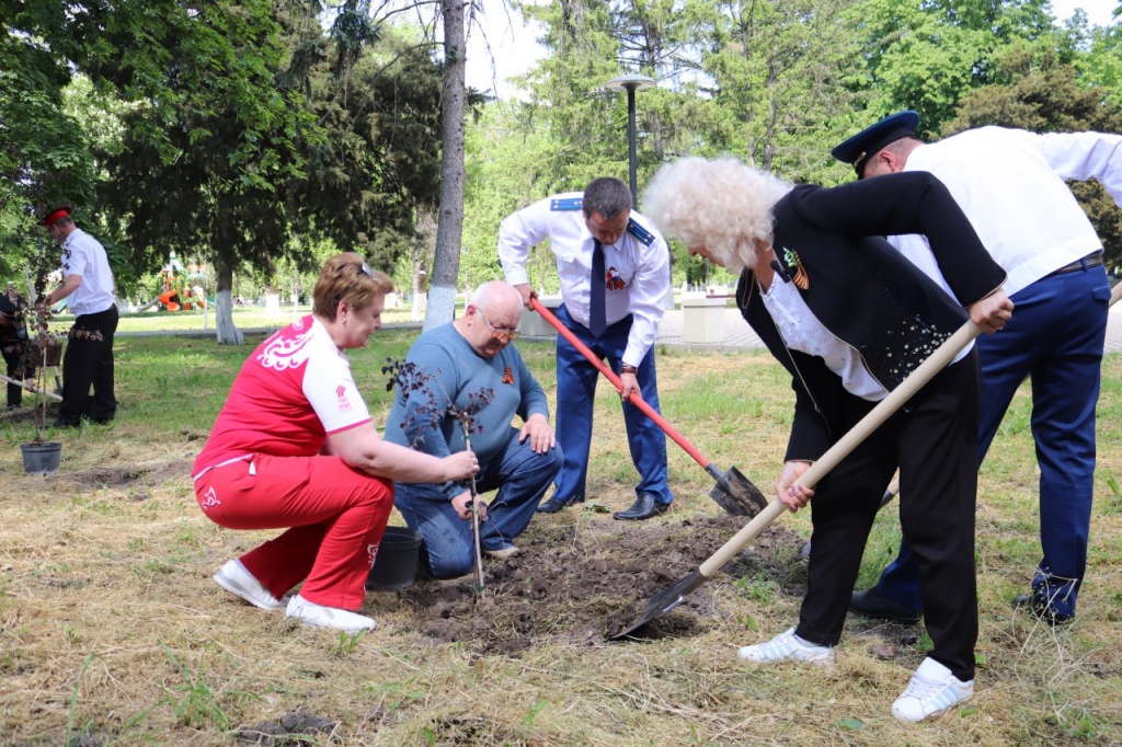 Члены ТИК Тбилисская приняла участие в высадке деревьев 