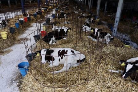 Ферма №2 ЗАО им. Т.Г. Шевченко