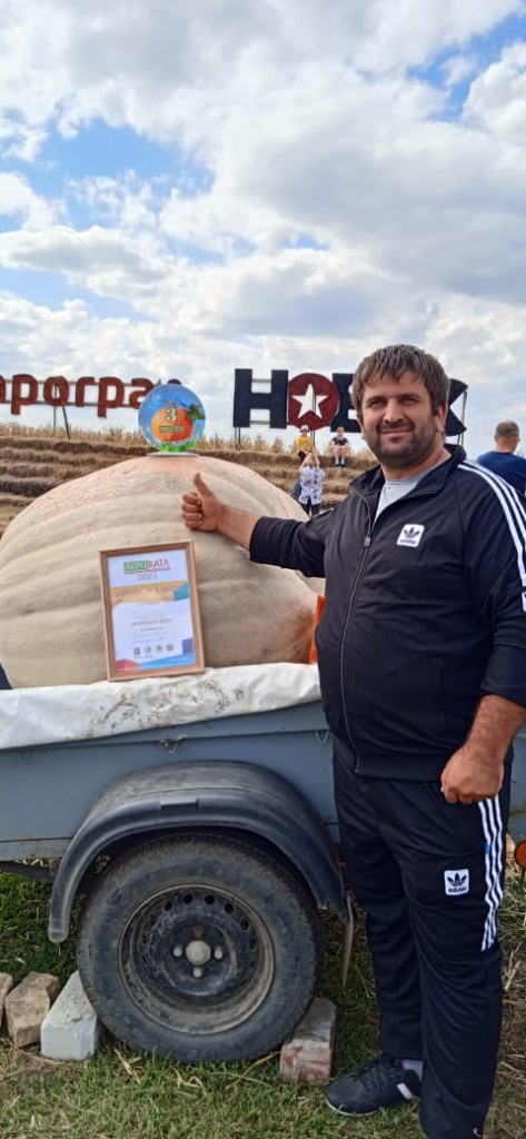 Фермер из Тбилисского района вырастил 300 килограммовую тыкву