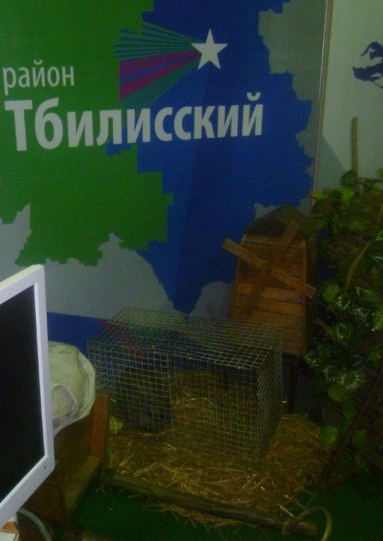 Форум &laquo;Юго-Восточная Европа&raquo;