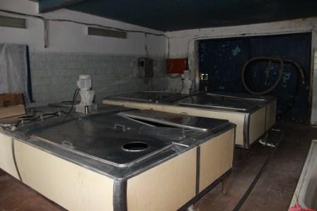 Жителям Нововладимирского поселения предложили создать молочный кооператив