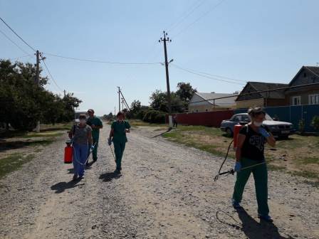 Проведена дезинсекция