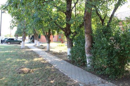 В Тбилисской и хуторе Северин приводят в порядок стадионы