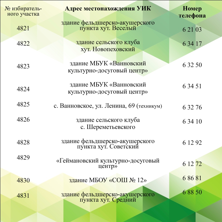 Голосование по поправкам в Конституцию Российской Федерации 