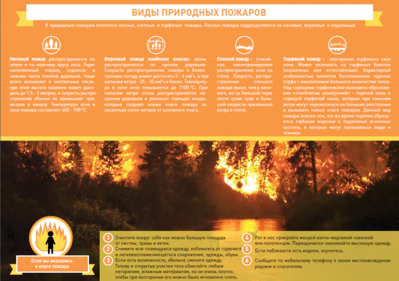 Правила поведения в пожароопасный период: природные пожары