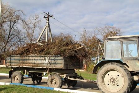 В Тбилисской провели обрезку деревьев 