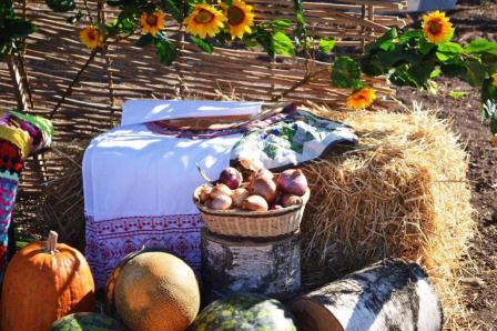 Учащиеся марьинской школы побывали на экскурсии на полигоне сельхозтехники