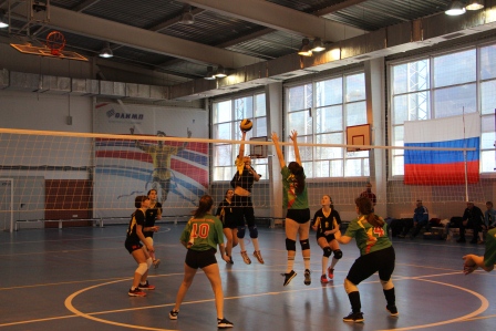 В Тбилисской прошли соревнования по волейболу Сельских спортивных игр Кубани