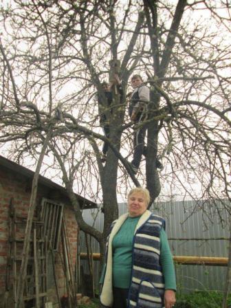 Ветеран труда в открытом письме поблагодарила тбилисских школьников