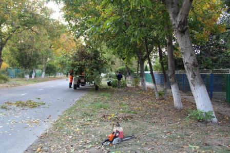 Улицы Тбилисской приводят в порядок