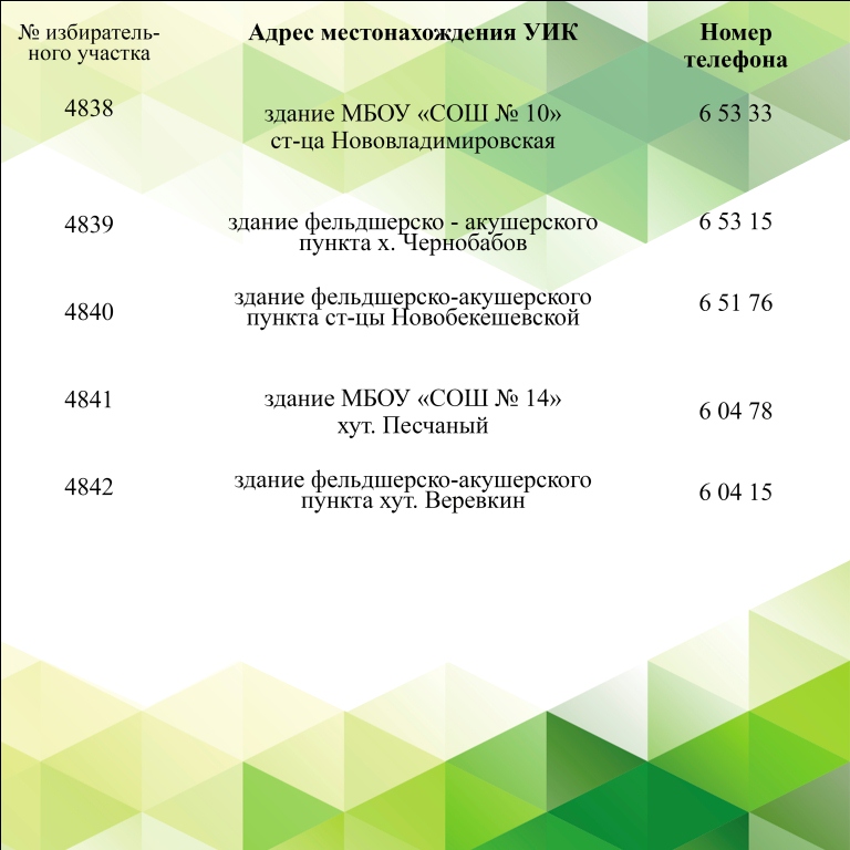 Голосование по поправкам в Конституцию Российской Федерации 