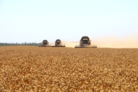 В Тбилисском районе артисты выступают на полях