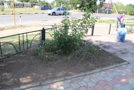 В Тбилисском поселении продолжают наводить порядок