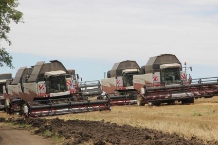 В Тбилисском районе артисты выступают на полях