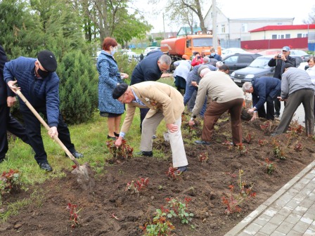 В Тбилисском районе почтили память жертв катастрофы на Чернобыльской АЭС