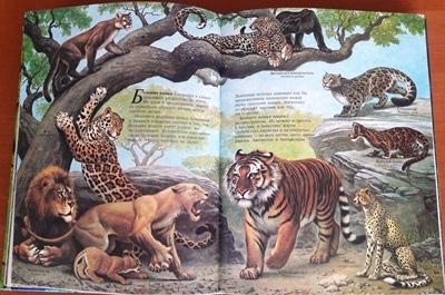 О Международном дне тигра