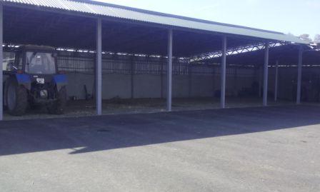 ЗАО им. Т.Г. Шевченко благоустраивает молочный комплекс 