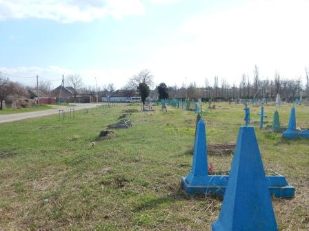 В Тбилисской высадили аллею молодых деревьев