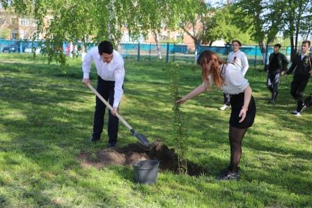 В седьмой школе прошла акция «Сад Памяти»
