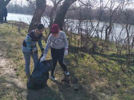Ученики и педагоги седьмой школы вышли на большой субботник