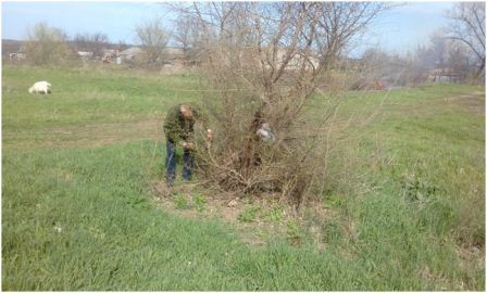 В Ловлинской прогрейдировали 1,5 км дороги 