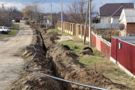 В Тбилисской высадили 19 берез