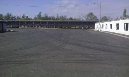 ЗАО им. Т.Г. Шевченко благоустраивает молочный комплекс 