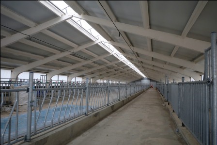 В Тбилисском районе строят животноводческий комплекс