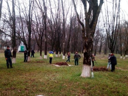 В Ванновском поселении более 350 человек вышли на субботник