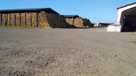 В Тбилисском районе увеличено производство молока