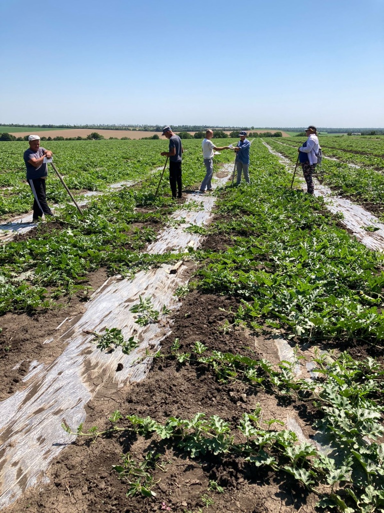 PHOTO-2022-06-30-11-37-30 (1).jpg