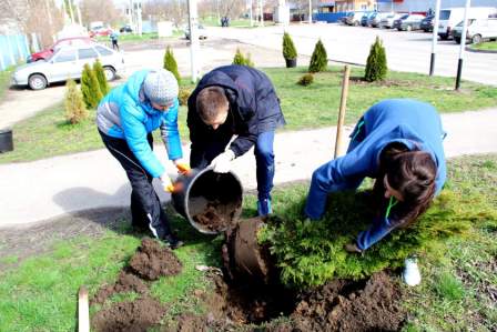 1000 тбилисцев приняли участие во Всекубанском субботнике