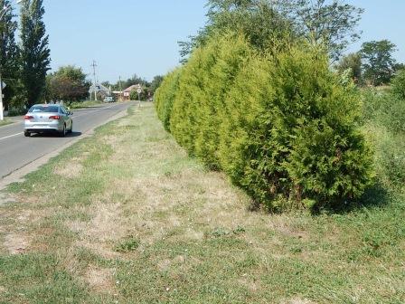 В Тбилисской готовятся к праздникам