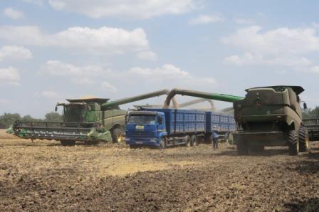 Уборочная кампания в самом разгаре