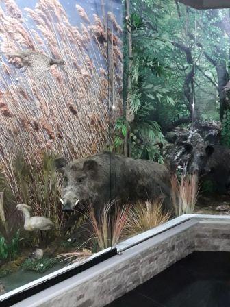 Тбилисцы побывали на экскурсии в Майкопе