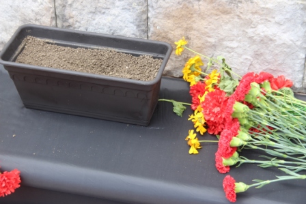 Тбилисский района присоединился к всероссийской акции «Горсть памяти»