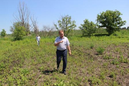 На приусадебном участке жителя