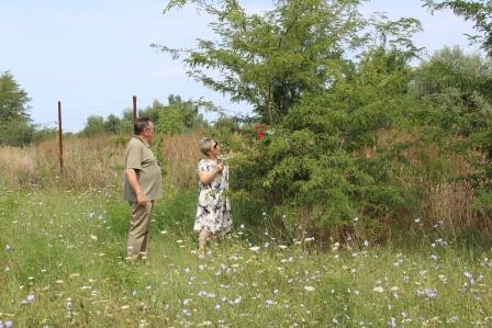 На месте расстрела почтили память жертв фашизма