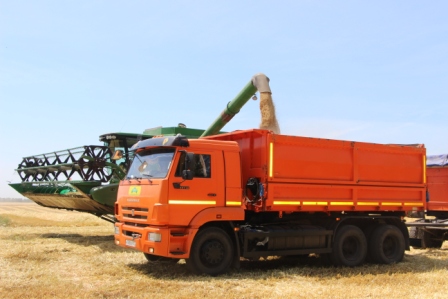 В Тбилисском районе начали убирать озимый ячмень