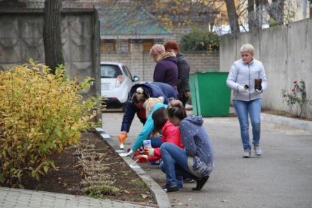 В Тбилисском районе прошел еженедельный субботник