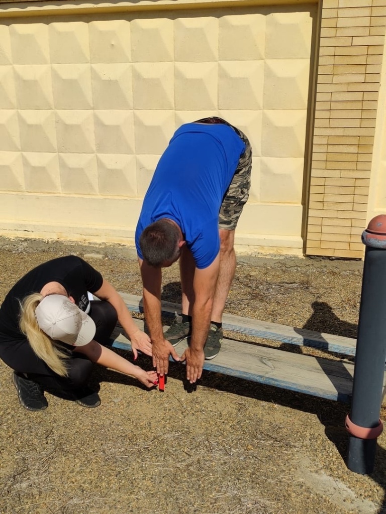 Тестирование Всероссийского физкультурно-спортивного комплекса «Готов к труду и обороне» (ГТО)