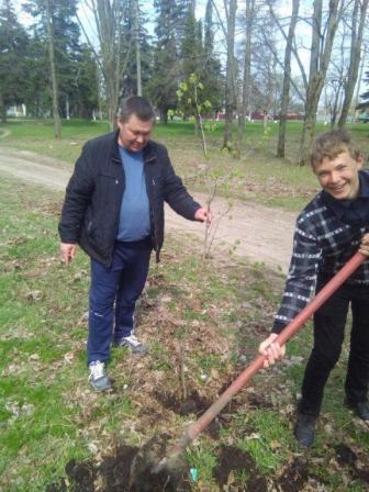 В Нововладимировской состоялась акция «Посади дерево»